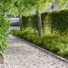 Bordure de Pelouse 50 pcs 103 x 10 cm Acier Argenté 616051616051