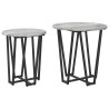 Ensemble de tables d'appoint 2 pcs Gris Sonoma et noir 616228616228