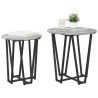 Ensemble de tables d'appoint 2 pcs Gris Sonoma et noir 616228616228