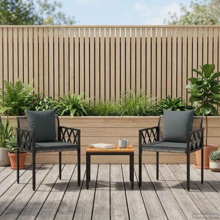 Ensemble de meubles d'extérieur 3 pcs Gris et Gris foncé 616295616295