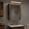 Armoire Miroir de Salle de Bain Bois ancien 43 x 16 x 62.5 cm 616356616356