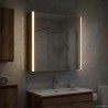 Armoire Miroir de Salle de Bain Bois ancien 63,5 x 15,5 x 70 cm 616366616366