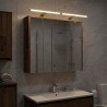 Armoire Miroir de Salle de Bain Bois ancien 73,5 x 16 x 62,5 cm 616369616369