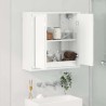 Armoire Miroir de Salle de Bain Blanc brillant 60 x 20 x 60 cm 616433616433