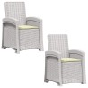 Chaise de jardin inclinable imitant le rotin 2 pcs PP 616600616600