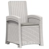 Chaise de jardin inclinable imitant le rotin 2 pcs PP 616618616618