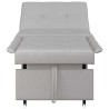 Canapé-lit escamotable Gris 194 x 50 x 82 cm tissu 616704616704