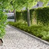 Bordure de Pelouse 50 pcs 100 x 15 cm Acier Argenté 616729616729