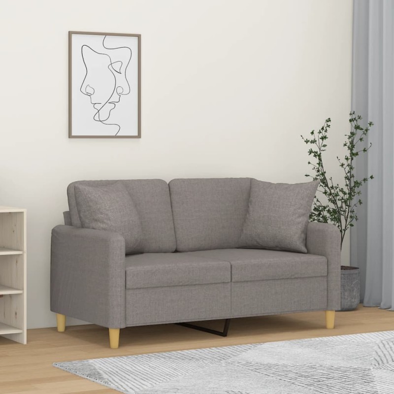 Canapé 2 places avec oreillers décoratifs taupe 120 cm tissu 616821616821