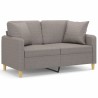 Canapé 2 places avec oreillers décoratifs taupe 120 cm tissu 616821616821