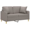 Canapé 2 places avec oreillers décoratifs taupe 120 cm tissu 616821616821