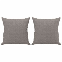 Canapé 2 places avec oreillers décoratifs taupe 120 cm tissu 616821616821