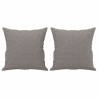 Canapé 2 places avec oreillers décoratifs taupe 120 cm tissu 616821616821