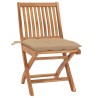 Chaises de jardin lot de 2 et coussins beige Bois teck massif 616840616840