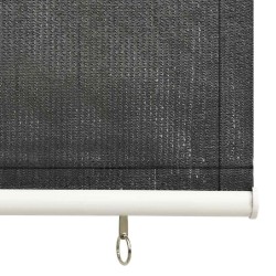 Store roulant d'extérieur 85 (l) x 140 (H) cm anthracite 616855616855