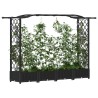Lit Élevé avec Treillis et Toit Noir 207 x 40 x 123 cm PP 616956616956