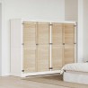 Porte de Cabinet avec porte 4 pcs Naturel 49,5 x 2,1 x 140,5 cm 617026617026