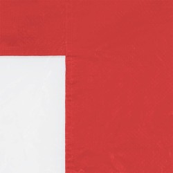 Mur de tente de fête 2 pcs 300 x 195 cm Rouge PE et acier 617226617226