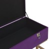 Banc avec compartiment de rangement 105 cm Violet Velours 617269617269