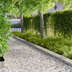 Bordure de Pelouse 30 pcs 103 x 20 cm Acier Argenté 617472617472