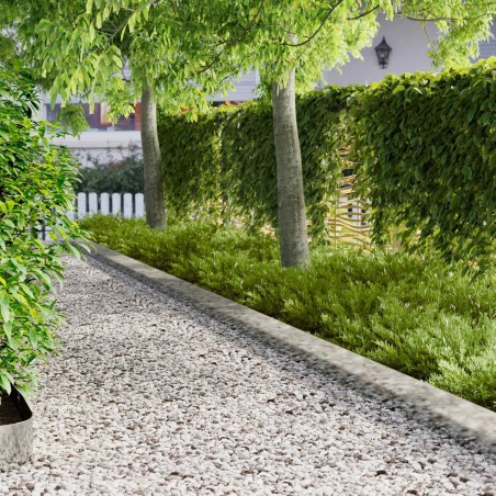 Bordure de Pelouse 30 pcs 103 x 20 cm Acier Argenté 617472617472