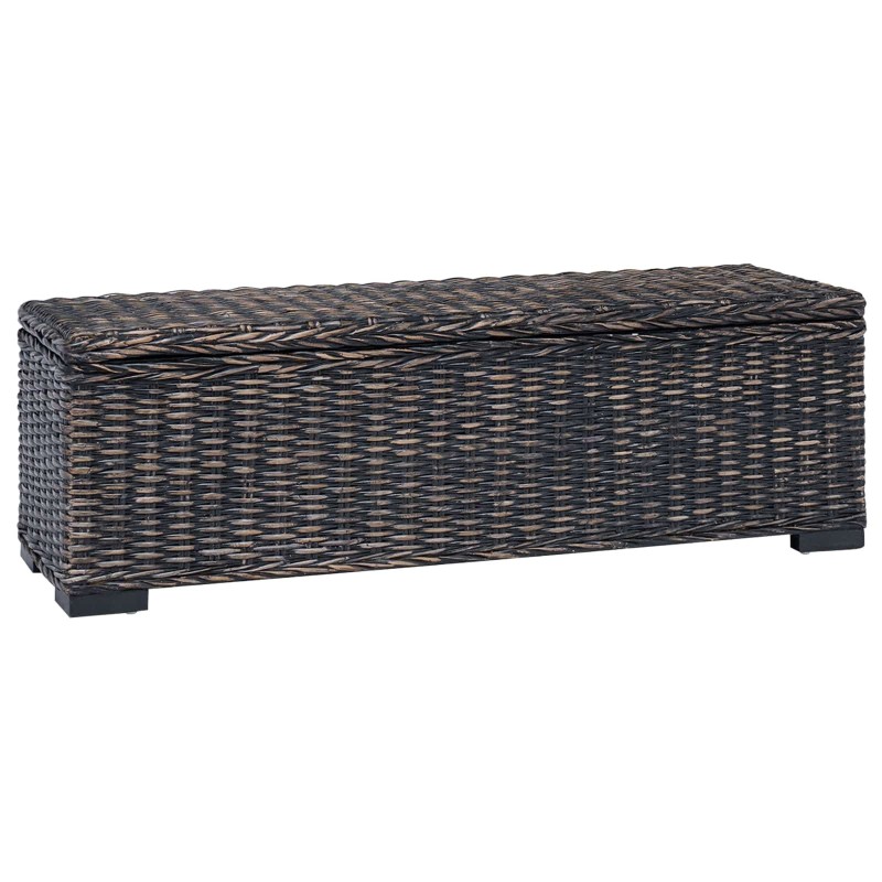Boîte de rangement avec stockage Noir 110 x 35 x 45 cm 617478617478