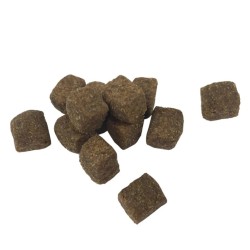 Nourriture sèche pour chiens Adult Active Chicken & Fish 15 kg 617490617490