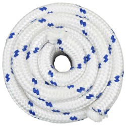 Corde de bateau 10 m 3 Blanc et bleu PP 617663617663