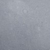 Niche de douche Gris mat 41x36x10 cm 617691617691