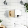 Miroir de salle de bain à LED 80x35 cm ovale 617713617713