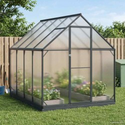 Serre de jardin avec porte Anthracite 183,5 x 243,5 x 207 cm 617805617805