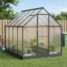 Serre de jardin avec porte Anthracite 183,5 x 243,5 x 207 cm 617805617805