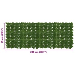 Écran de balcon avec feuilles Vert 200 x 75 cm 618167618167