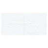 Mur de tente de fête 2 pcs Blanc 400 x 195 cm PE et acier 618185618185