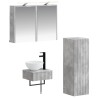 Ensemble d'armoire de salle de bain 4 pcs Gris béton 618227618227