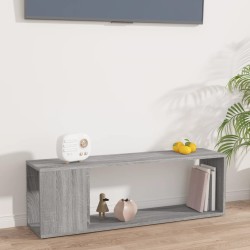 Meuble TV Sonoma gris 100x24x32 cm Bois d'ingénierie 618234618234