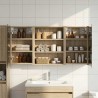 Ensemble de Meubles de Salle de Bain 3 pcs 100 x 10,5 x 50 cm 618528618528