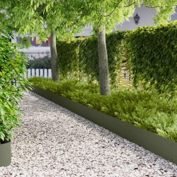 Bordure de Pelouse 20 pcs 103 x 25 cm Acier Vert olive 618662618662