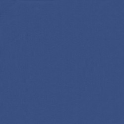 Écran de balcon Bleu 100 x 500 cm Tissu Oxford 618914618914