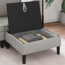 Pouf avec Rangement Gris clair Velours 618916618916