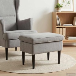 Pouf Gris clair 55 x 35 x 41 cm Velours 618936618936