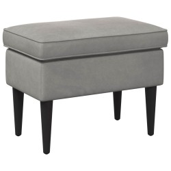 Pouf Gris clair 55 x 35 x 41 cm Velours 618936618936