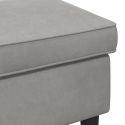 Pouf Gris clair 55 x 35 x 41 cm Velours 618936618936