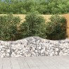Paniers à gabions arqués 10 pcs 200x50x60/80 cm Fer galvanisé 619019619019