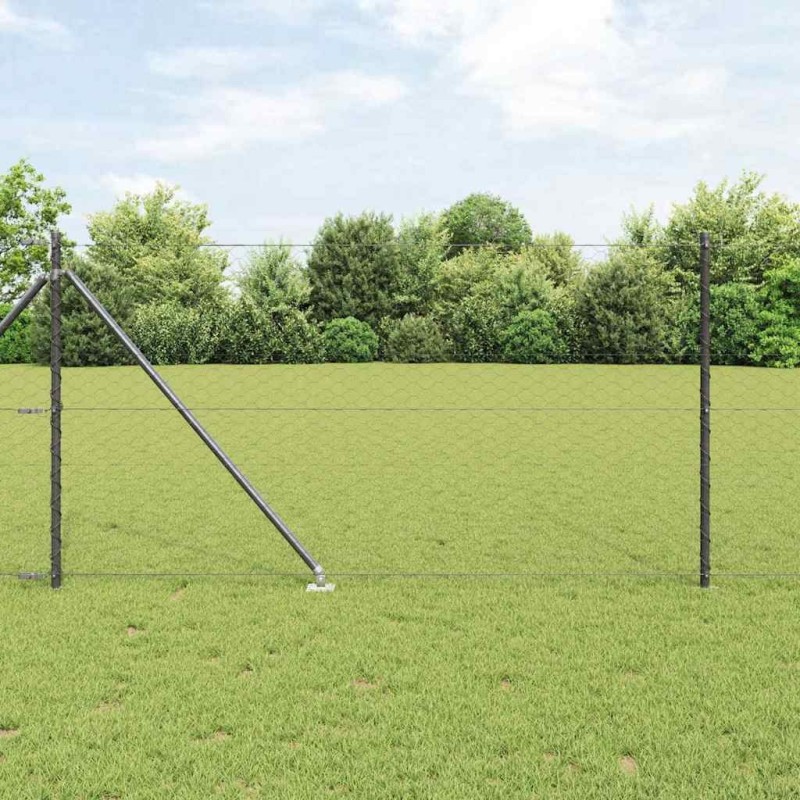 Clôture hexagonale avec poteau 100 x 1 m Acier recouvert de PVC 619146619146