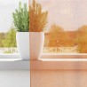 Rideaux en voile à œillets 2 pcs orange 619271619271