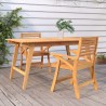 Chaises de jardin lot de 2 58x58x87 cm bois massif d'acacia 619294619294