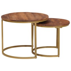 Tables basses gigognes 2 pcs Bois de mangue massif et acier 619741619741