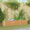 Jardinière surélevée Marron Clair 240 x 40 x 45 cm 619922619922