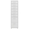 Classeur mobile Gris 28x41x109 cm Métal 620499620499